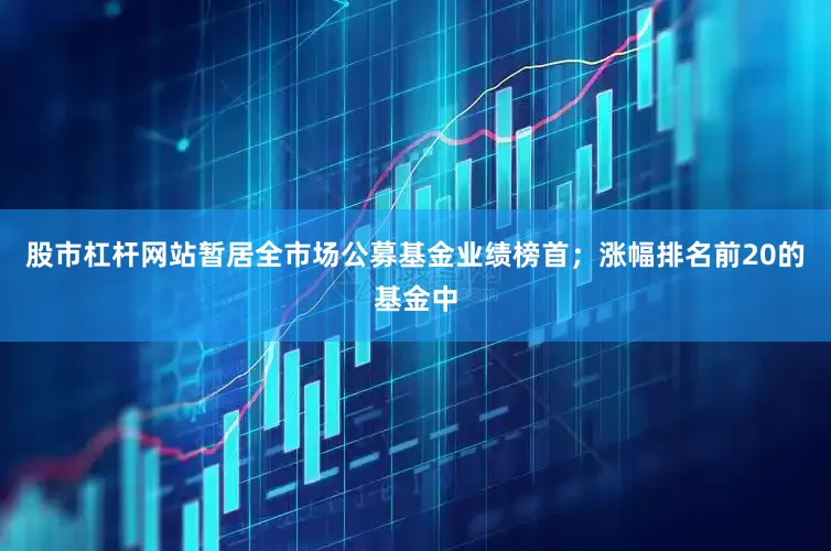 股市杠杆网站暂居全市场公募基金业绩榜首；涨幅排名前20的基金中