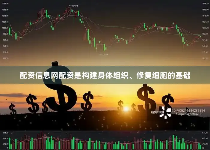 配资信息网配资是构建身体组织、修复细胞的基础