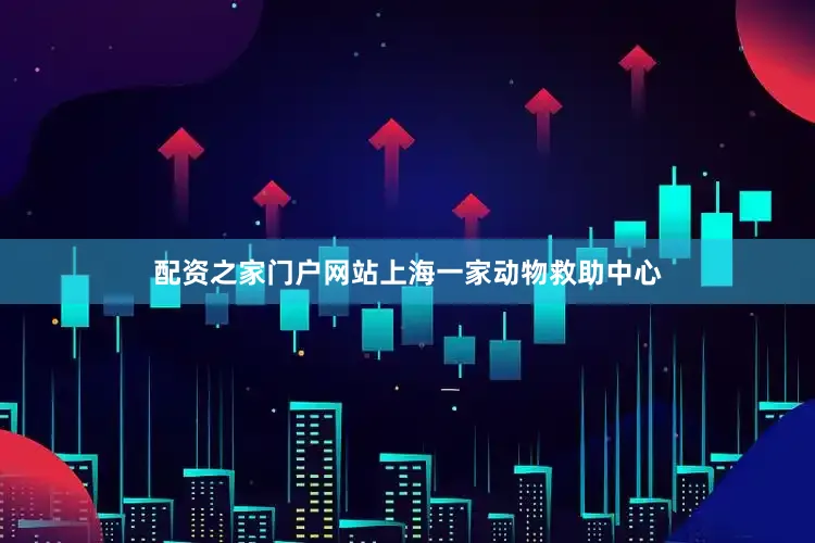 配资之家门户网站上海一家动物救助中心